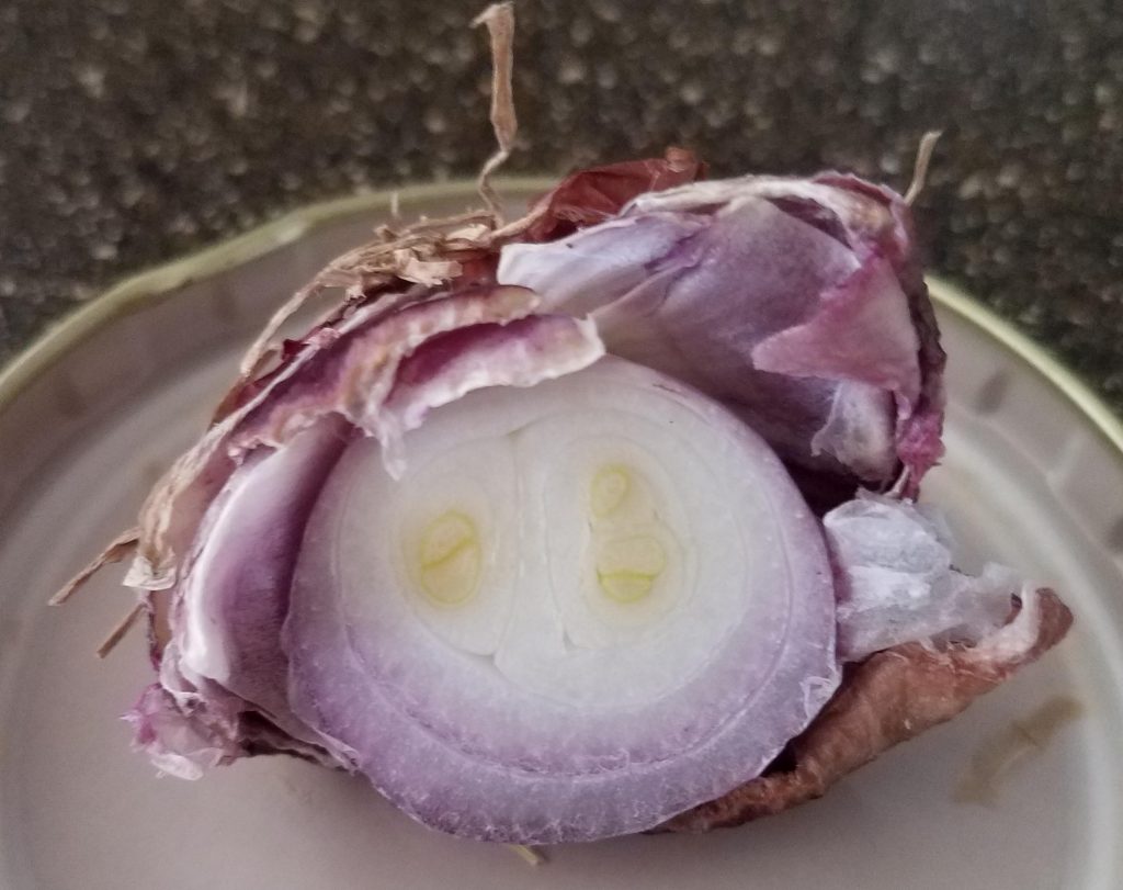 Onion smiley - there is hope under the weathered exterior.